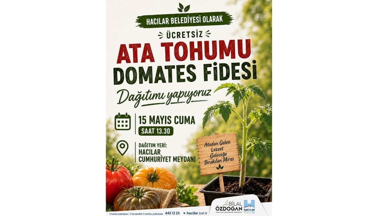 hacılar belediyesi, domates fidesi, ata tohumu