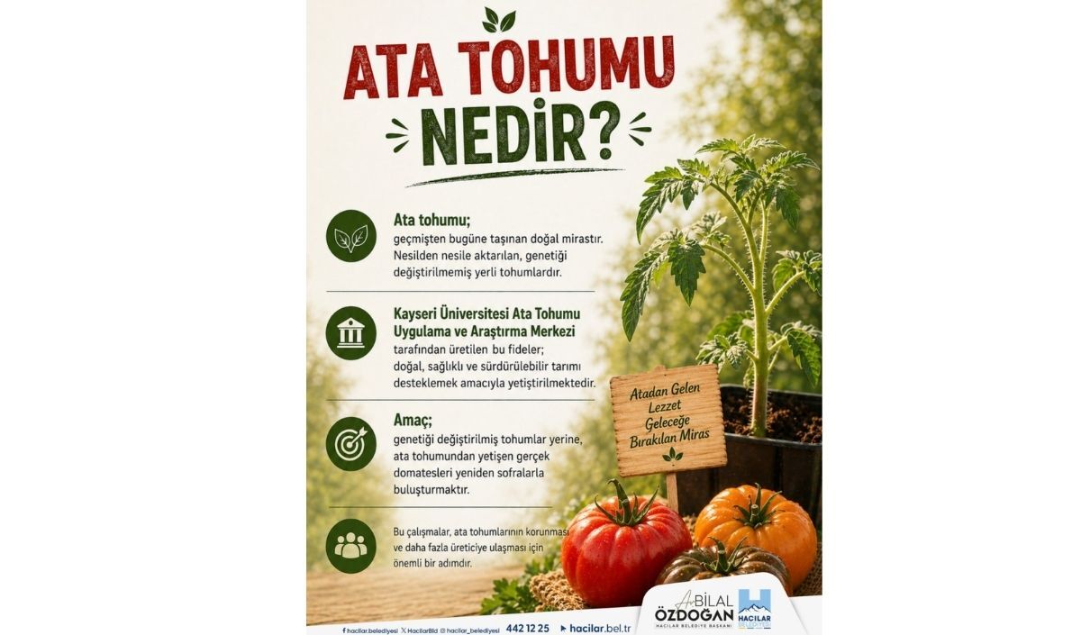 hacılar belediyesi, domates fidesi, ata tohumu