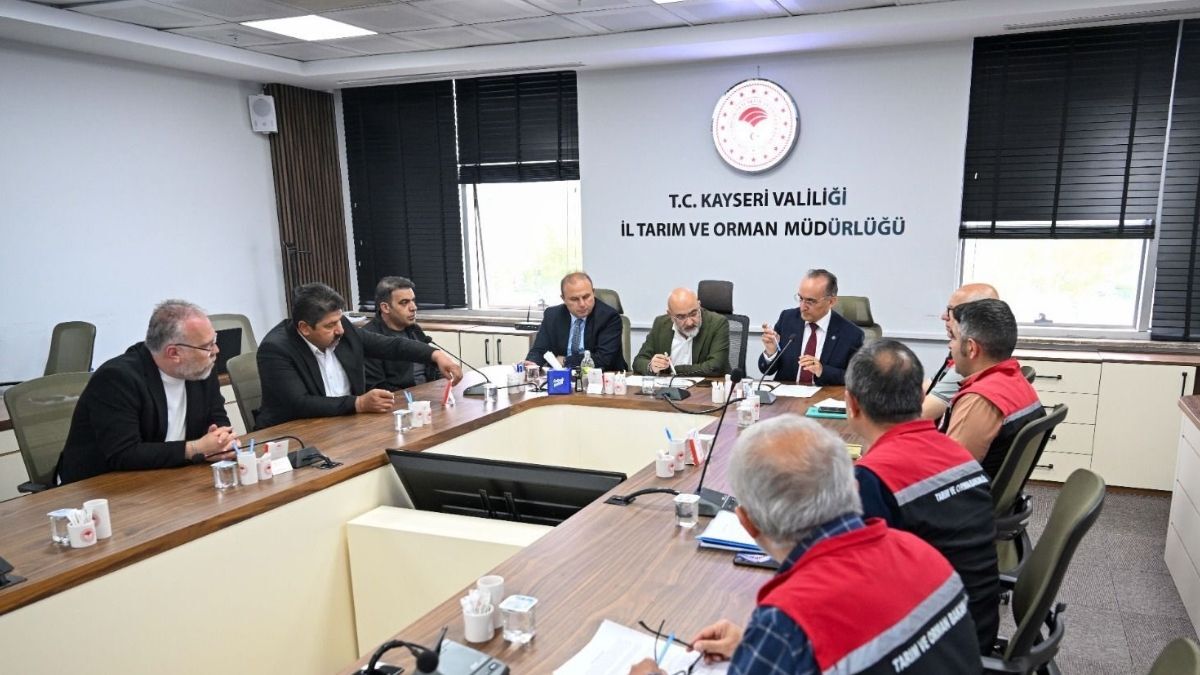 Kayseri Italya Mozarella Hurmetci (3)