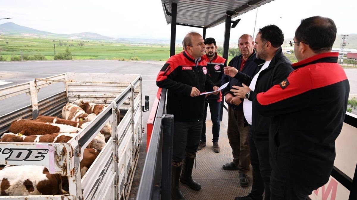 kayseri kurban bayramı, kayseri denetim, kurban bayramı haberleri