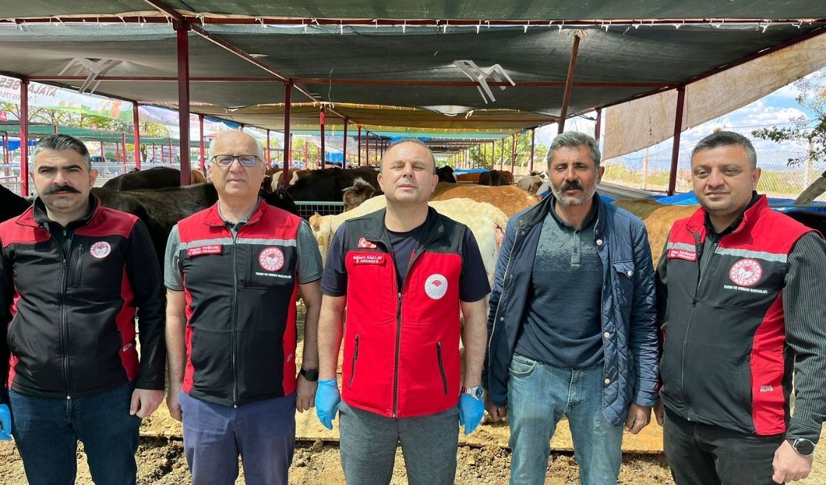 Kayserı Veterıner 2