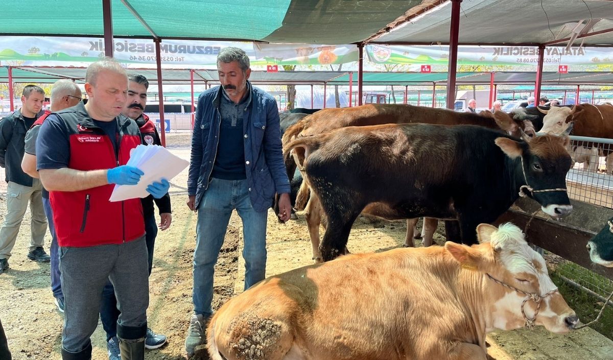 Kayserı Veterıner 3