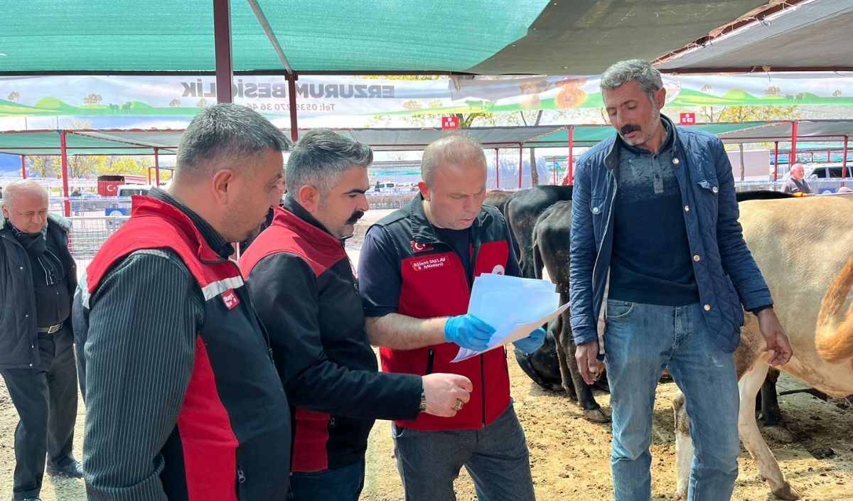 Kayserı Veterıner 4