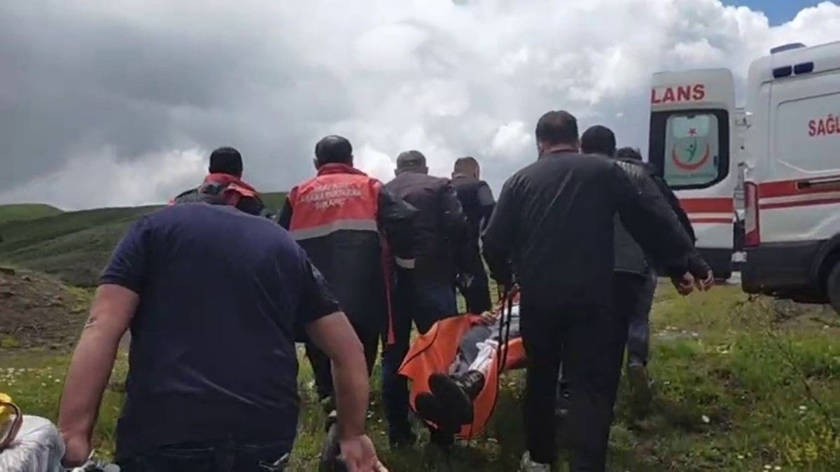 Sıvas Ayı Saldırısı 3
