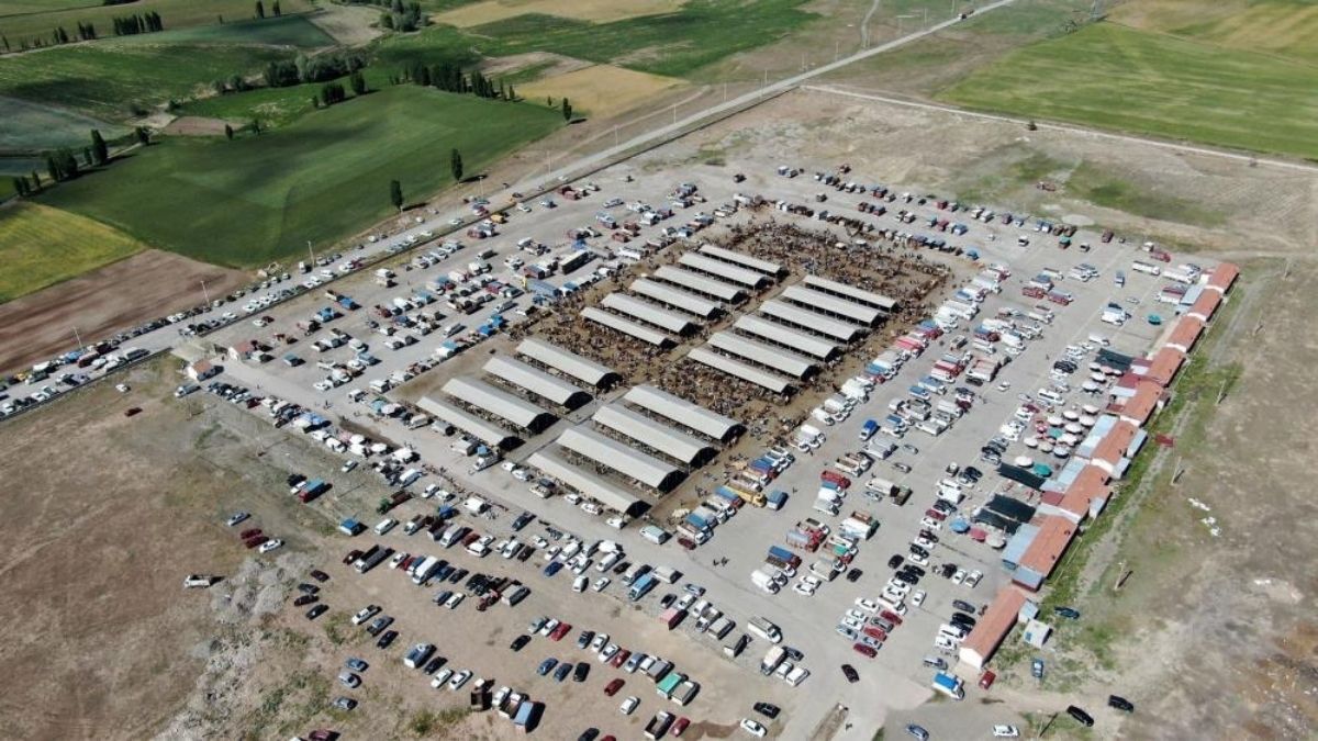 sivas hayvan pazarı, kurban bayramı, kayseri kurban