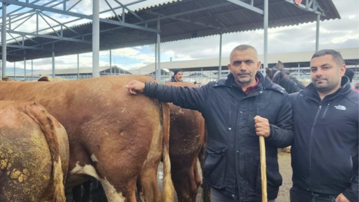 sivas hayvan pazarı, kurban bayramı, kayseri kurban