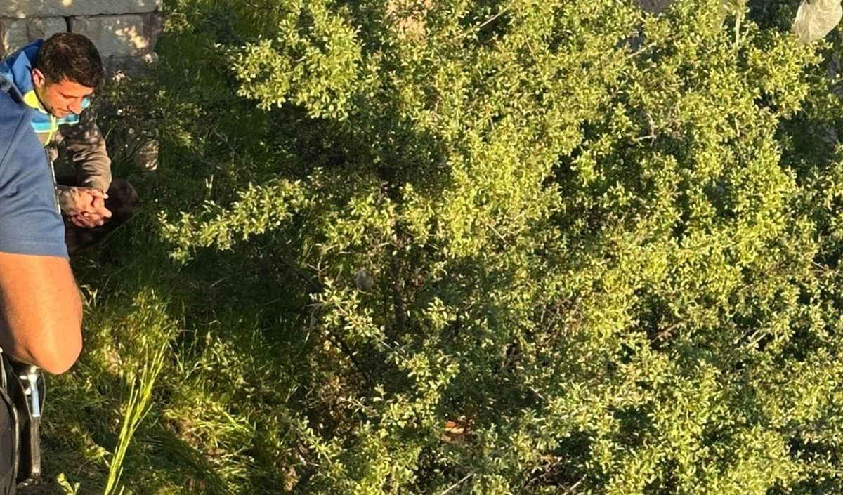 Nevsehir Zihinsel Engelli Sahis Agacta Asili Kaldi (2)