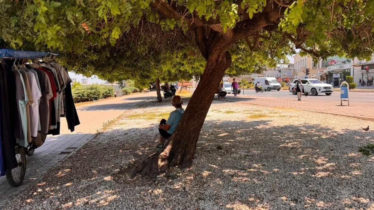 Adana Hava Durumu (4)