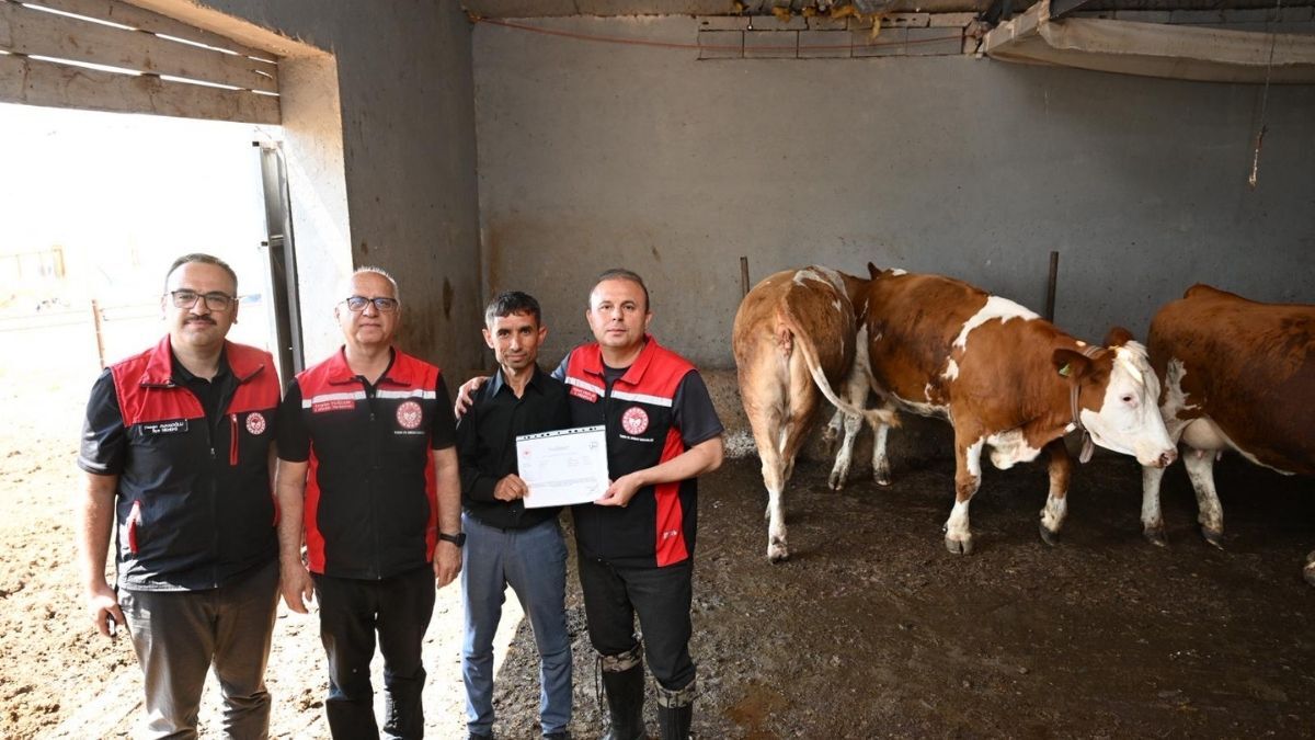Develı Inceleme 1