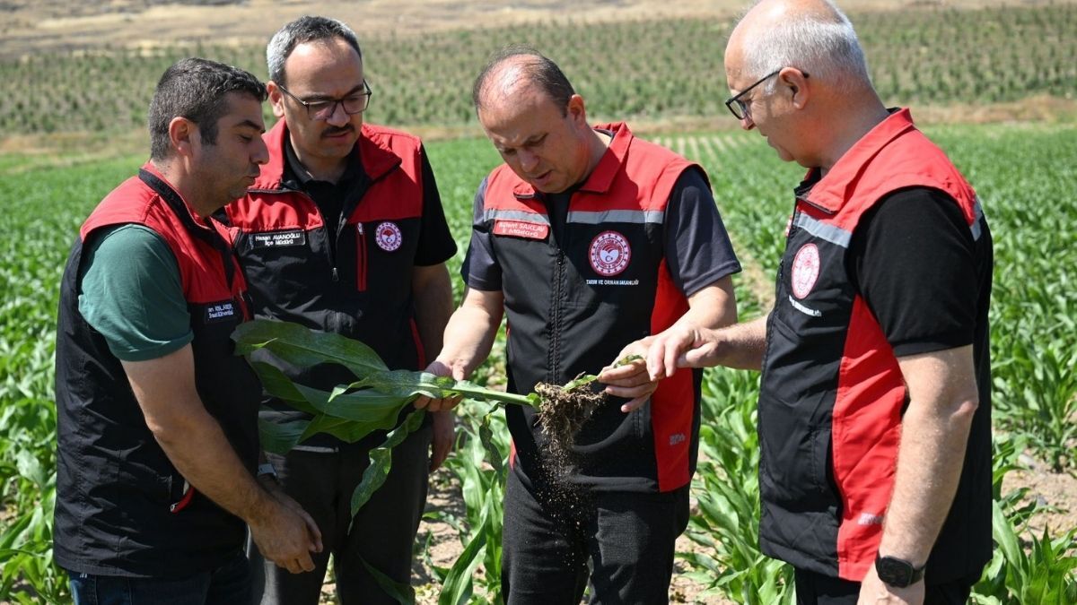 Develı Inceleme 2