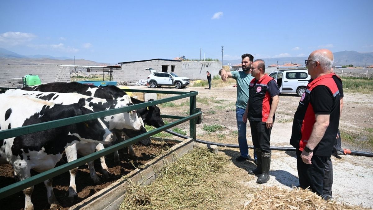 Develı Inceleme 4