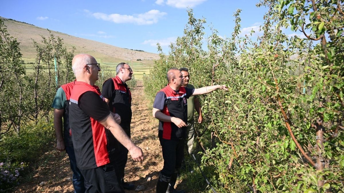 Develı Inceleme 5