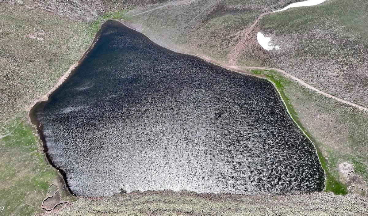 Erciyes Sarıgöl (1)