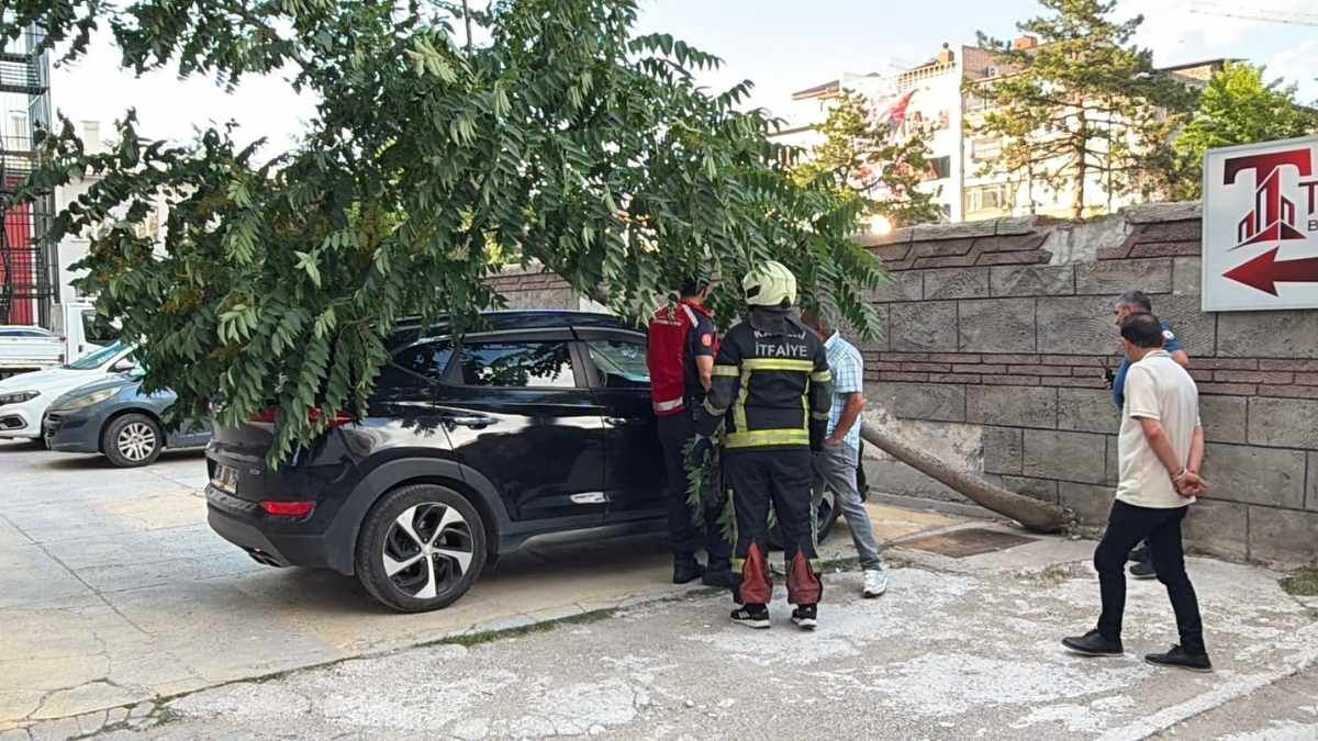 Kayseri Agac Devrildi (4)