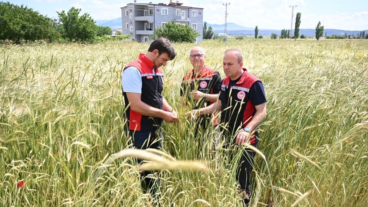 Kocasınan Aspır 1
