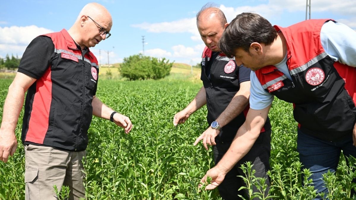 Kocasınan Aspır 2