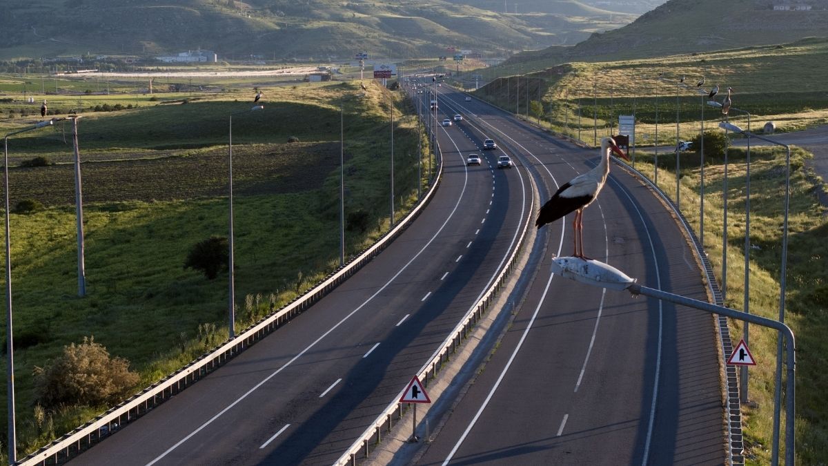 Kuzey Cevre Yolu Leylek 2