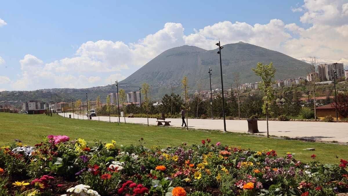 Talas