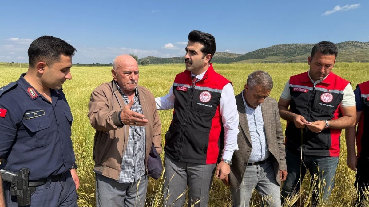 Tomarza Tarım Inceleme 1