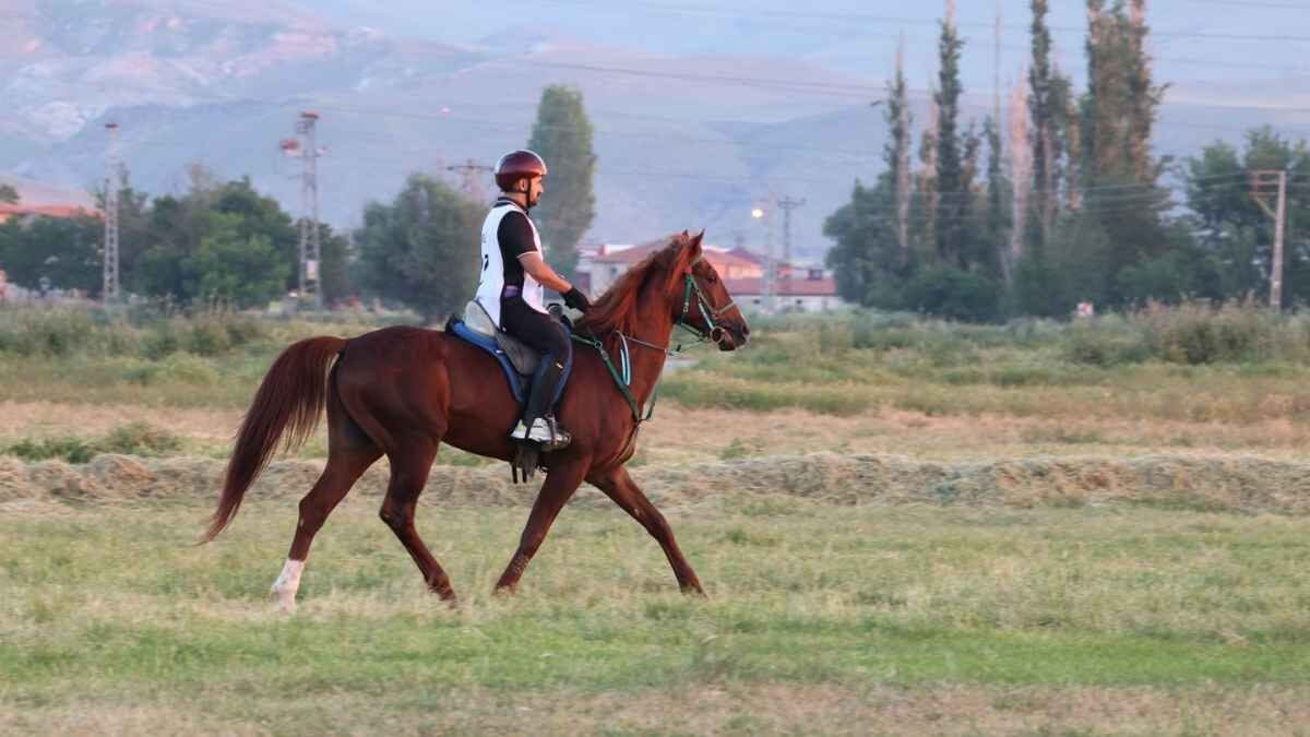 Uluslararasi Atli Dayaniklilik (6)