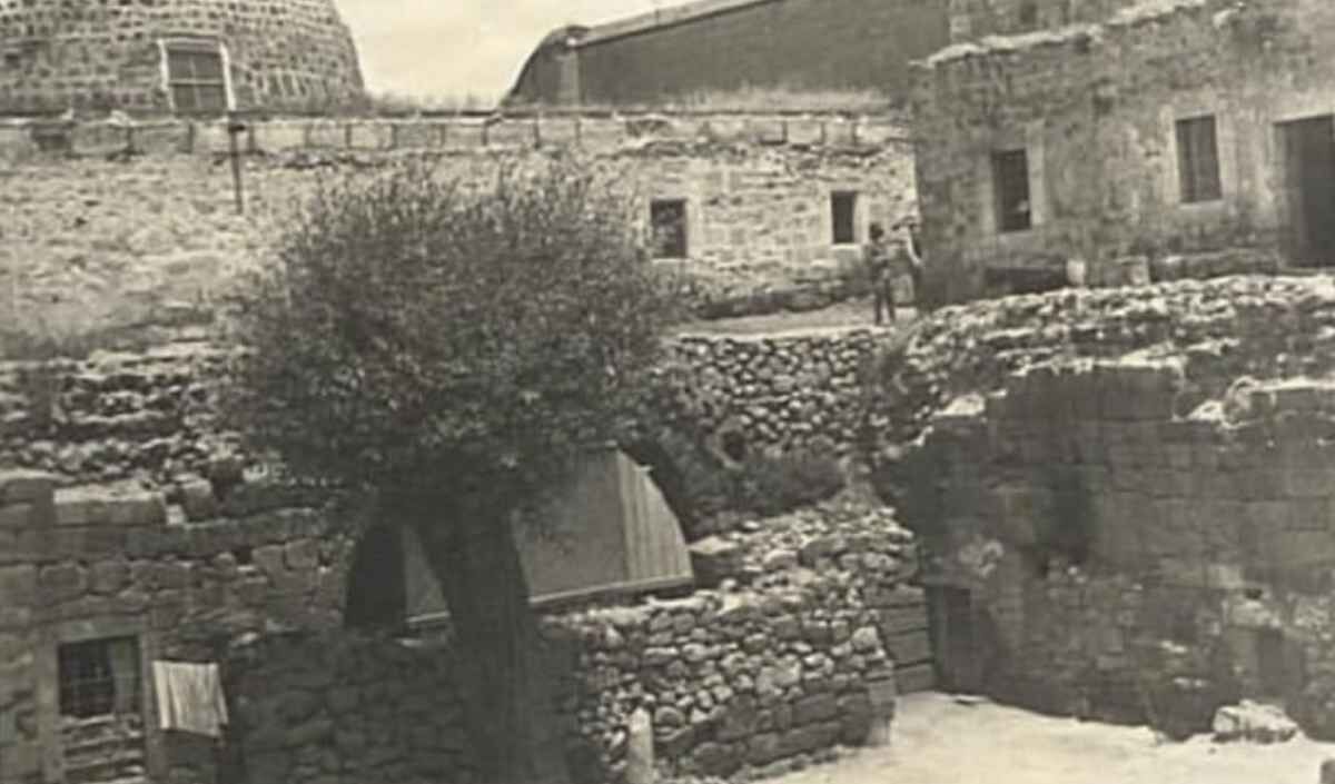 Camikebır Arkeolojı Kazıları (5)