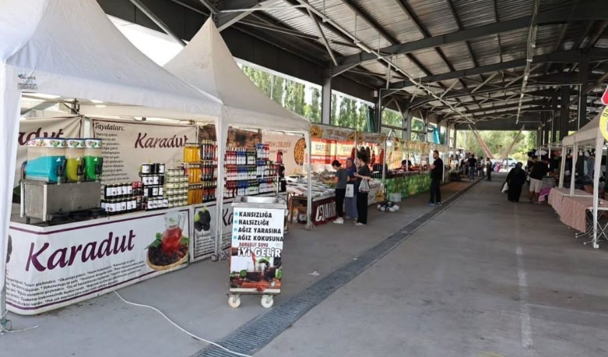 Kayserı Baskoy Kılısesı (11)