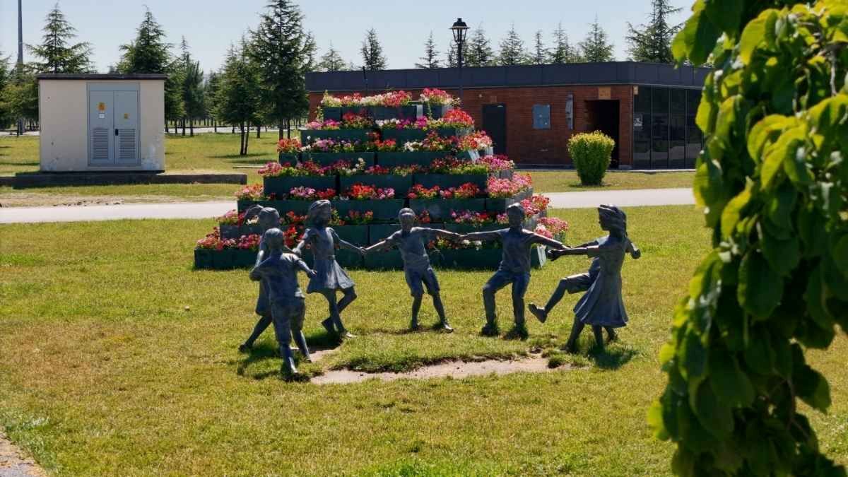 Kayserı Cıcek 1
