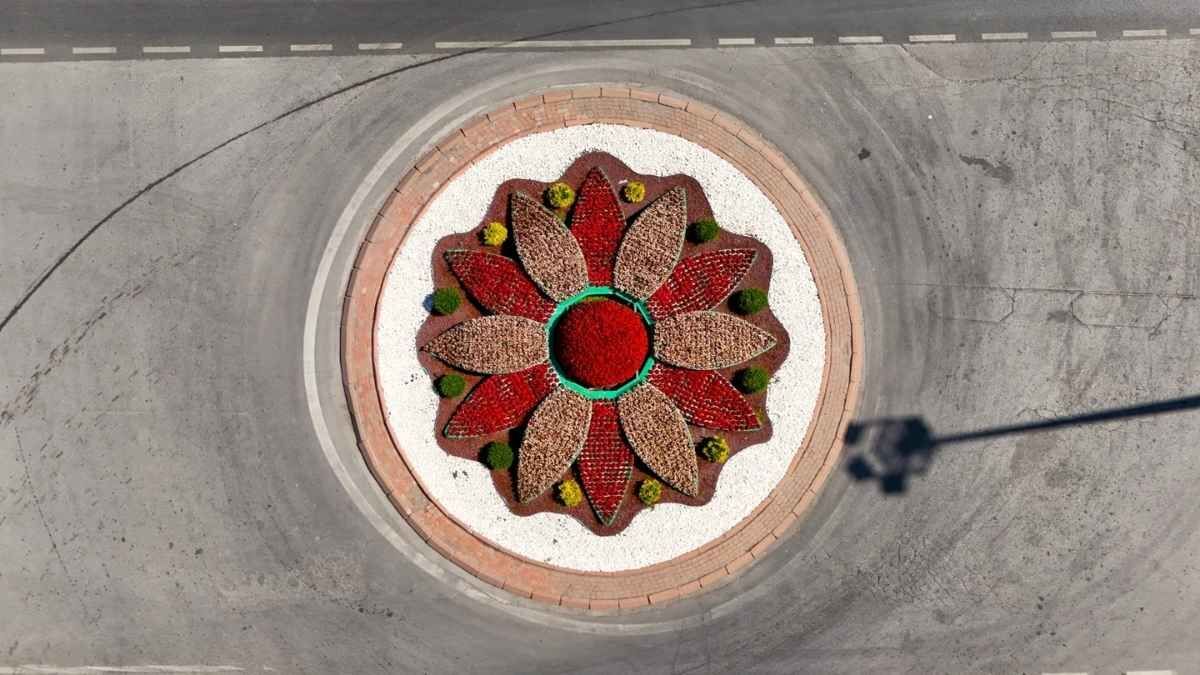 Kayserı Cıcek 3