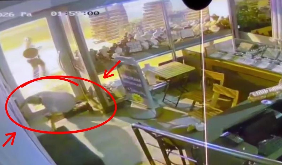 Sürünerek Girdi Hirsiz (3)