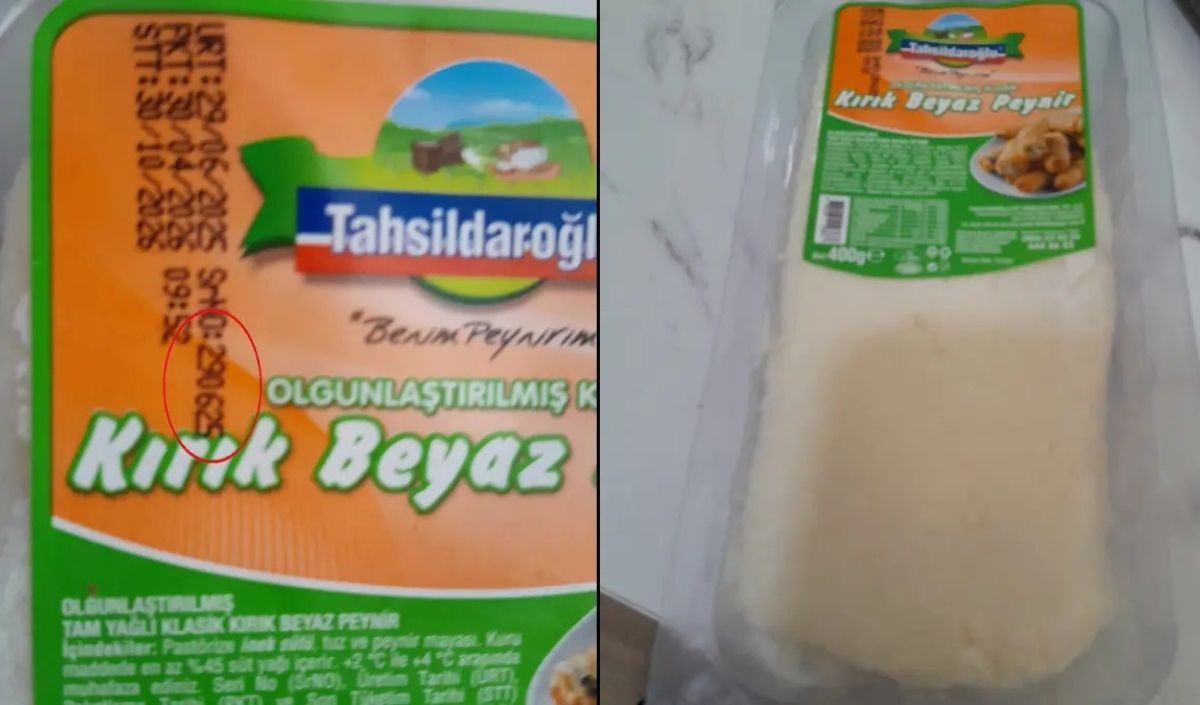 Tahsildaroglu Peynir Bakteri