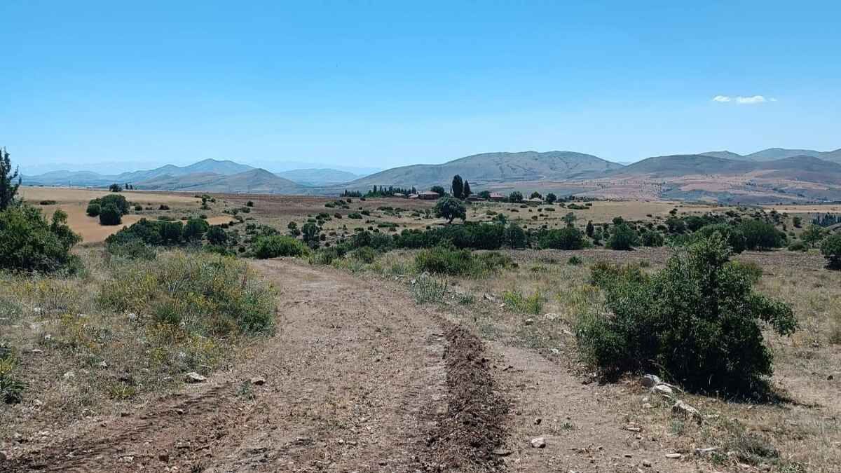 Tomarza Yol 6