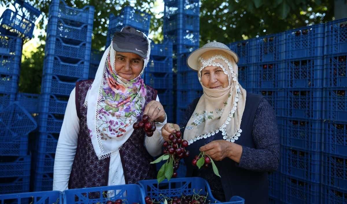 Yahyali Kiraz Ruslar