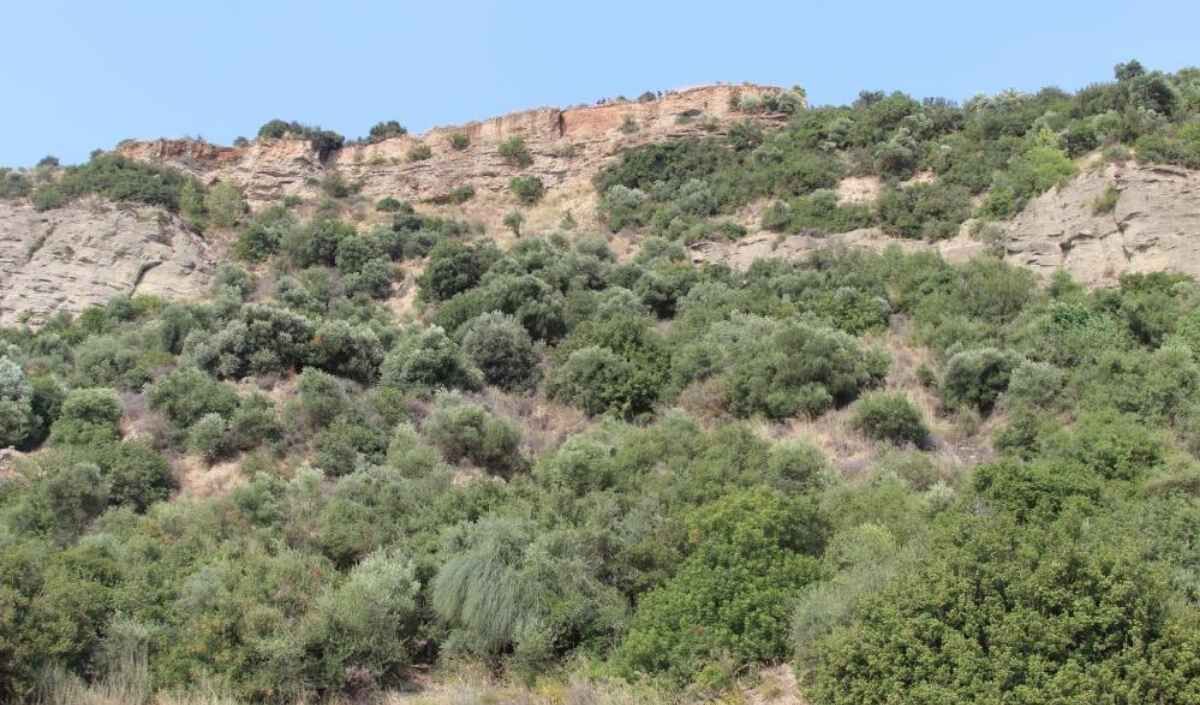 Adana Kaza Ucurum 2