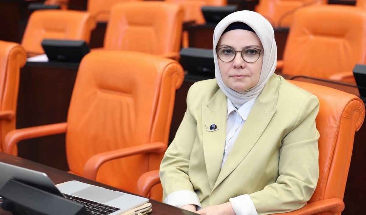 Ahmet Kaya Böhürler Bbp (4)