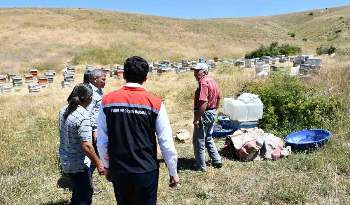 Akkısla Yayla 1