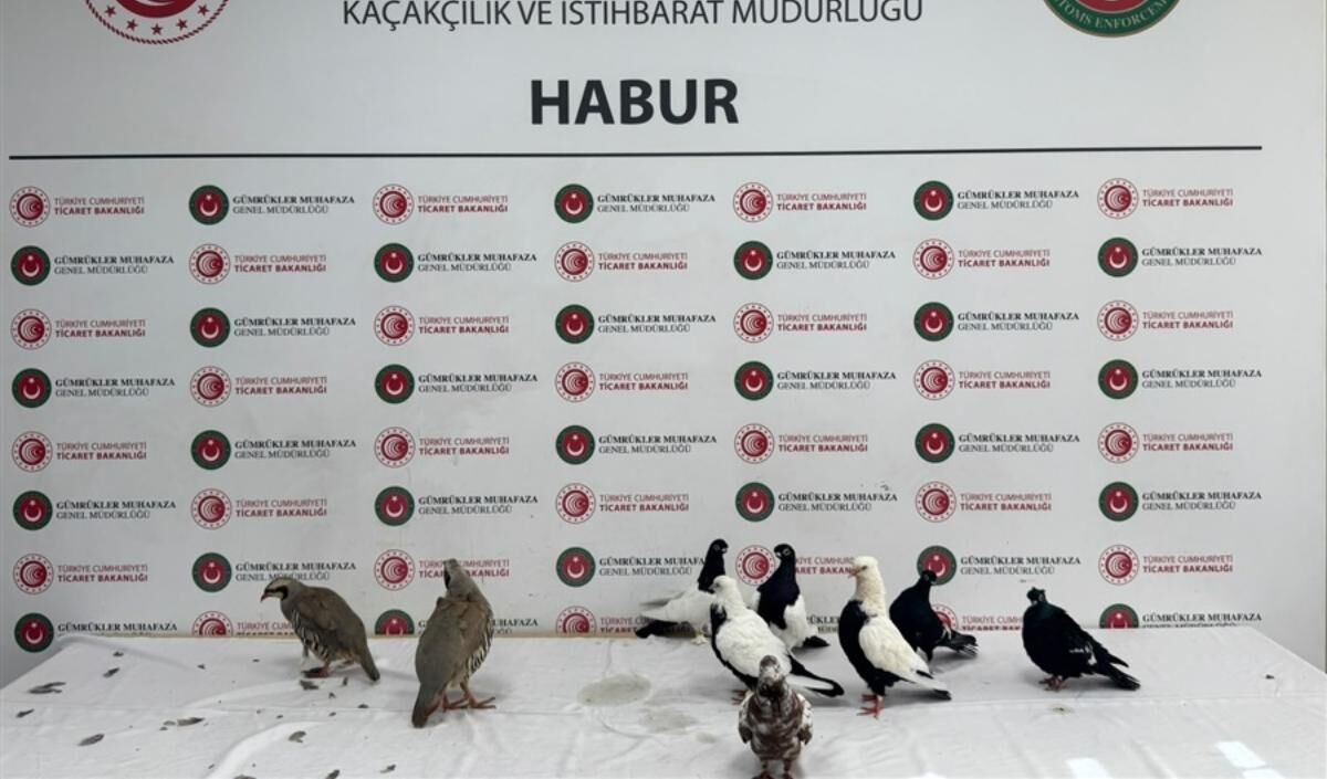 Gumrukte Milyarlik Kacak Urun (4)