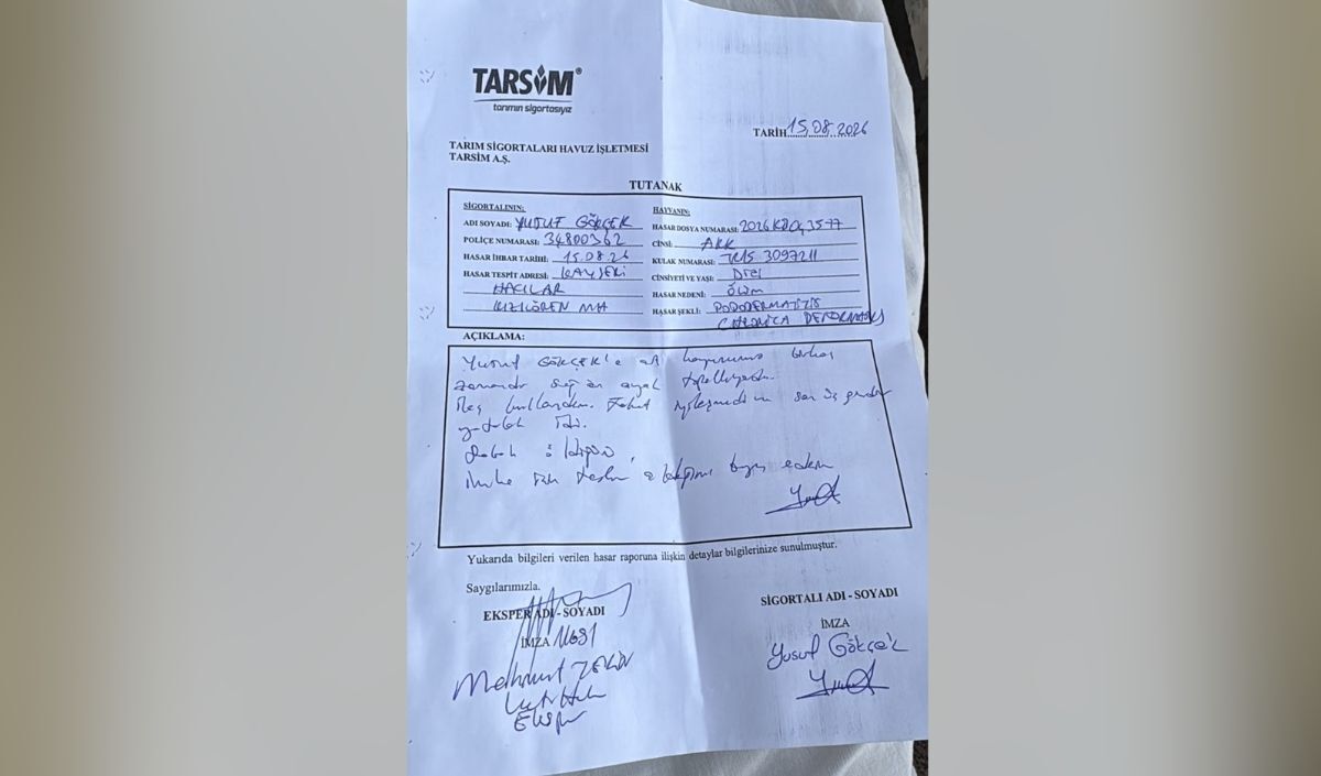 Hacilar Hayvanlarin Salgin Hastaşik Kucukbas (2)