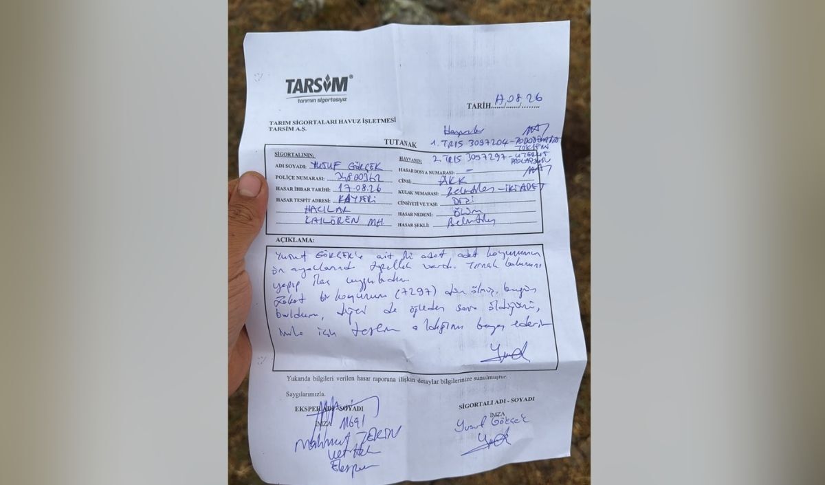Hacilar Hayvanlarin Salgin Hastaşik Kucukbas (3)