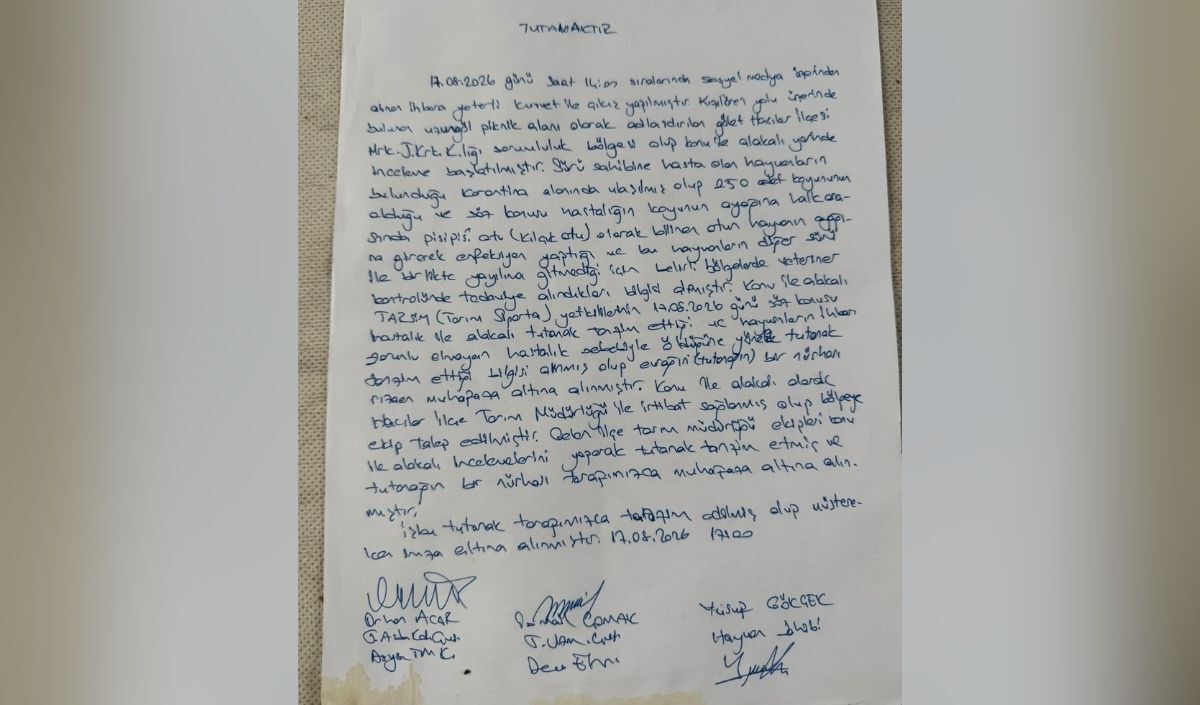 Hacilar Hayvanlarin Salgin Hastaşik Kucukbas
