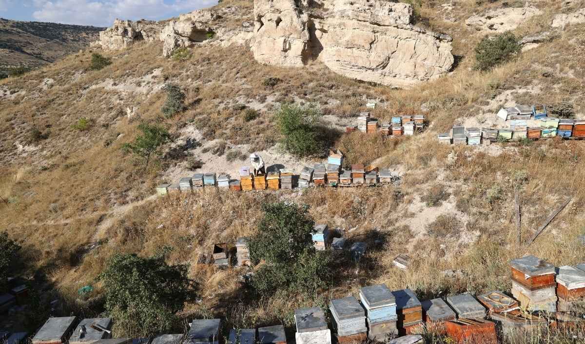 Hobi Olarak Basladi Kapadokya Bal (2)