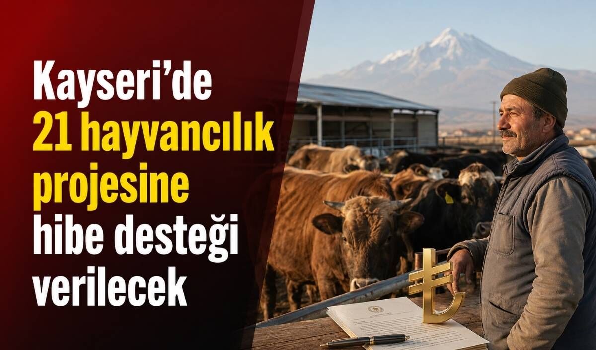 Kayseri’de 21 hayvancılık projesine hibe desteği verilecek