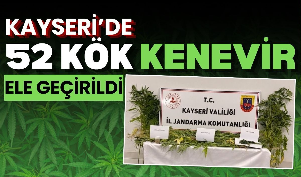 Develi'de 52 kök kenevir ele geçirildi
