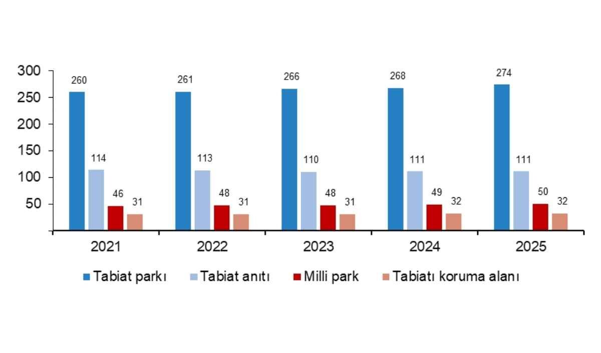 2025’In Müze Karnesi (3)