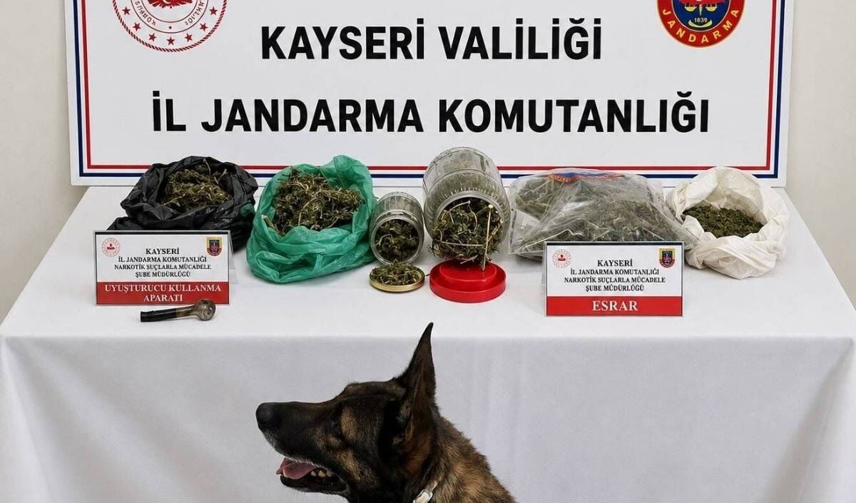 Asayiş