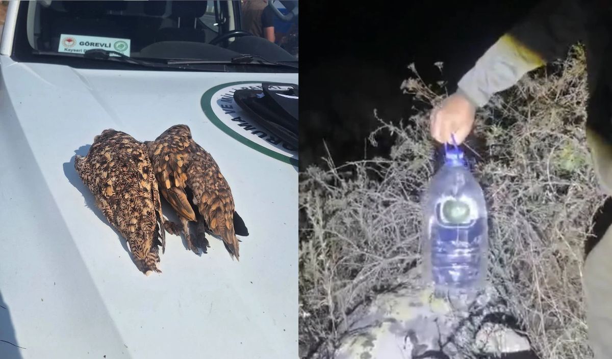 Asayiş